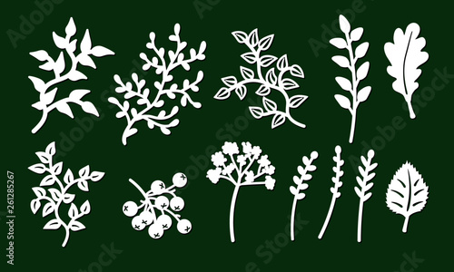 Laser cutting template of leaves, branches. Openwork foliage of oak, birch, herbs, grass isolated on green background. Vector silhouette of rowan element. Ecology art set for wood carving, paper cut.