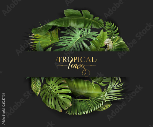 Vector circle banner with green tropical leaves on black background. Exotic botanical design for cosmetics, spa, perfume, beauty salon, travel agency, florist shop. Best as packaging design