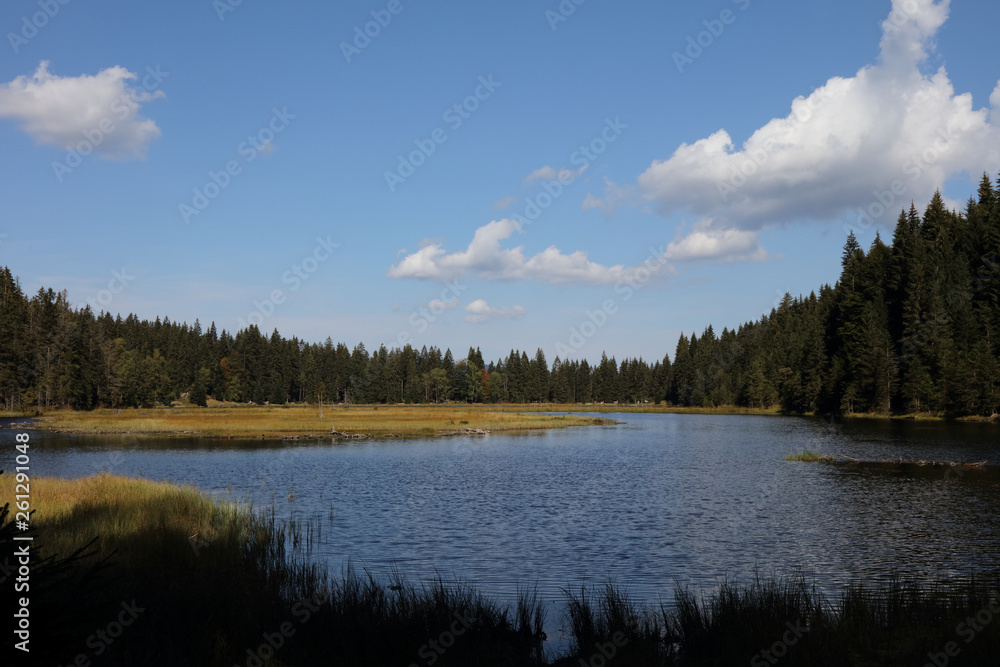 Fototapeta premium Kleiner Arbersee / Kleiner Arbersee /