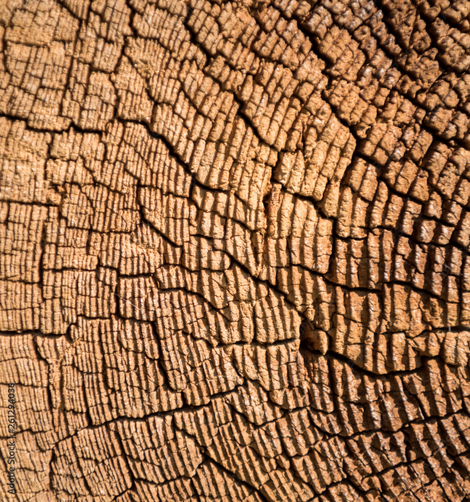 Old wooden texture background. Centenary brown wood texture Old wooden texture background. Centenary brown wood texture