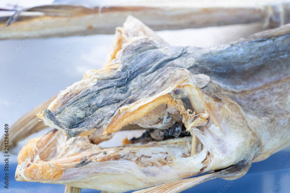 Gros Plan Sur Une Tete De Morue Sechee Specialite De Cuisine Italienne Stock Photo Adobe Stock