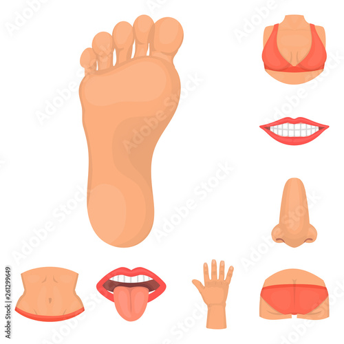 Vector design of body and part sign. Set of body and anatomy stock symbol for web.