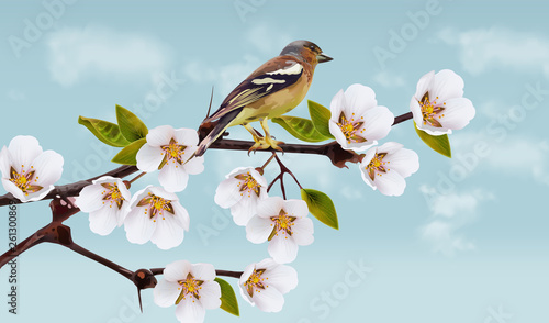Cherry flowers border . Spring blossom. Holiday cards