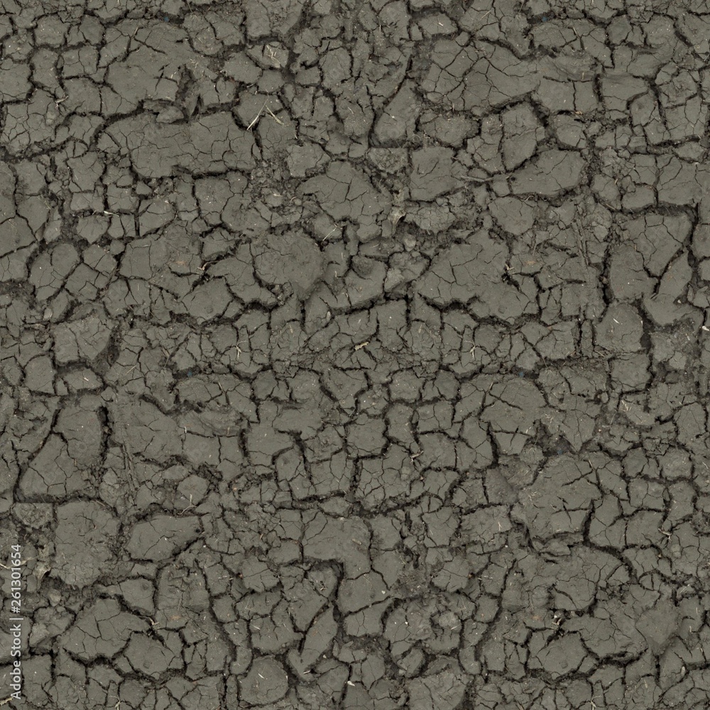 Mud cracked dirt soil ground seamless texture Mud cracked dirt soil ground seamless texture