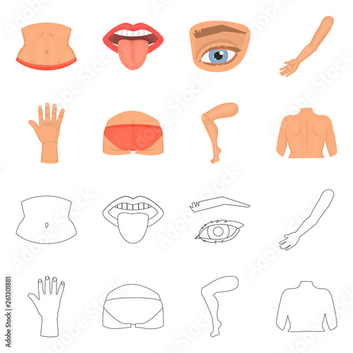 Vector design of body and part sign. Collection of body and anatomy stock symbol for web.