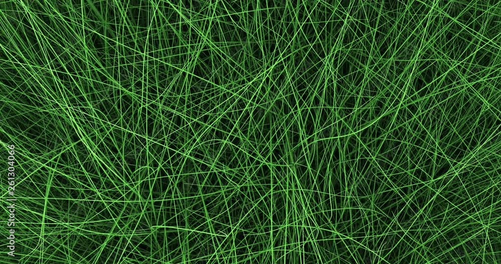Green grass background slowly rotate Green grass background slowly rotate