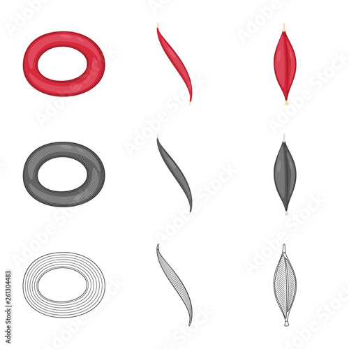 Isolated object of fiber and muscular icon. Collection of fiber and body  stock vector illustration.