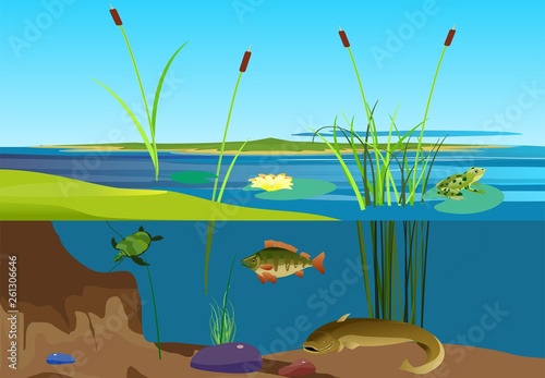 River ecosystem vector illustration