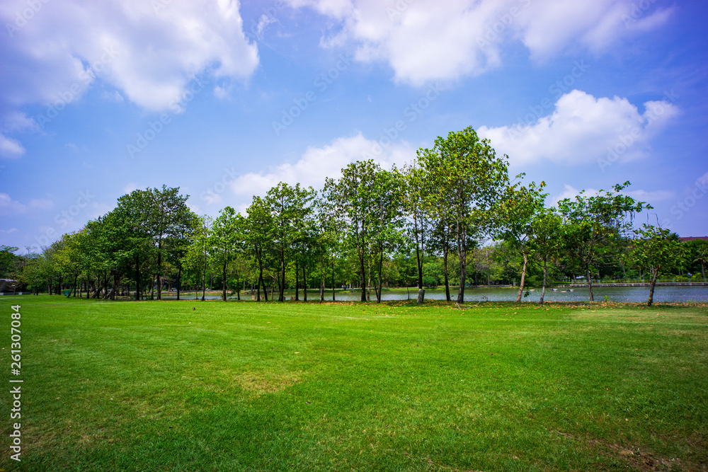 Green lawn surrounded by trees with blue sky.