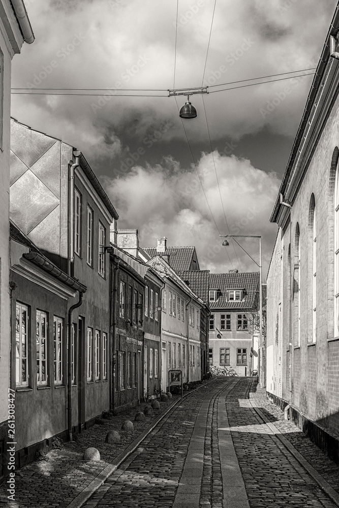 Helsingor Narrow Street in Black and White