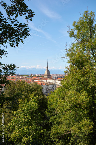 Mole Antonelliana tower and Turin city framed by trees in a sunny summer day in Italy