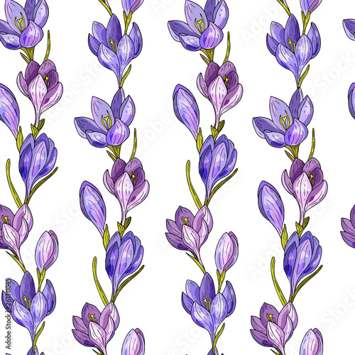 Hand drawn crocus flowers compositions. Seamless pattern. Watercolor imitation. Design for textiles, wrapping, wallpaper, invitation, wedding or greeting cards