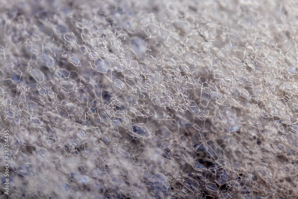 The structure of the bubbles of foam from shampoo or cleaning agent The structure of the bubbles of foam from shampoo or cleaning agent