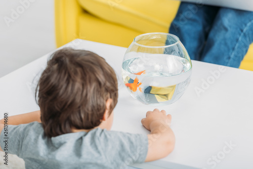 back view of cute boy standing near white table with fish bowl