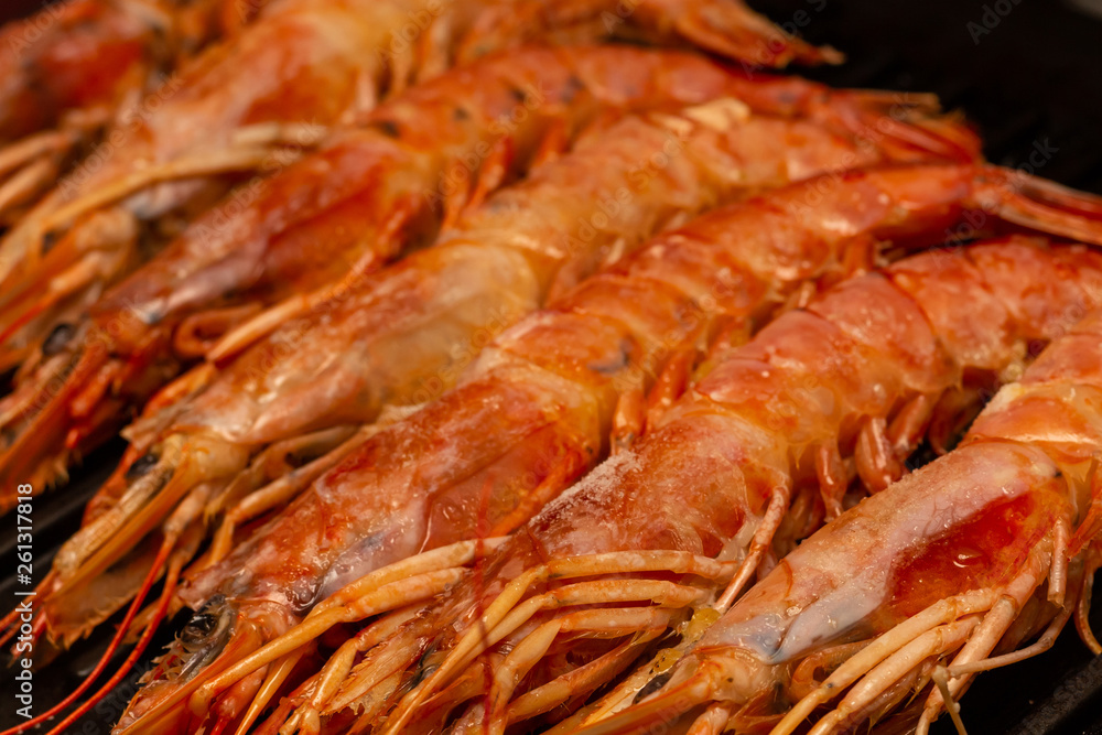 tray seafood delicacy row of large red shrimp long large langoustines whole with head and shell tray seafood delicacy row of large red shrimp long large langoustines whole with head and shell