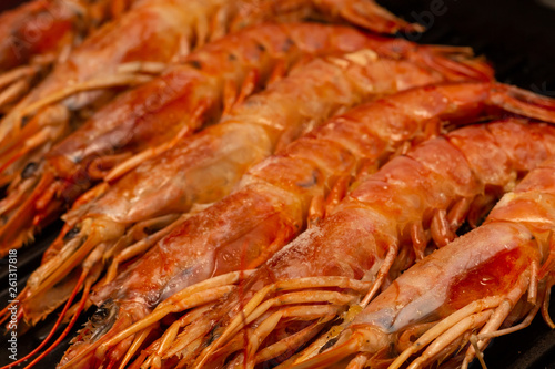 tray seafood delicacy row of large red shrimp long large langoustines whole with head and shell