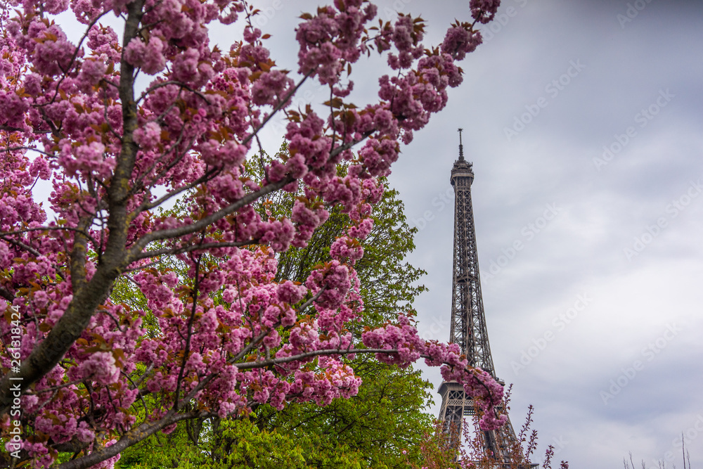 Eiffel Tower in sunny spring day in Paris, France