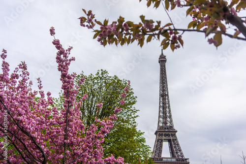 Paris, France, 2019: Eiffel Tower in sunny spring day in Paris, France © dima