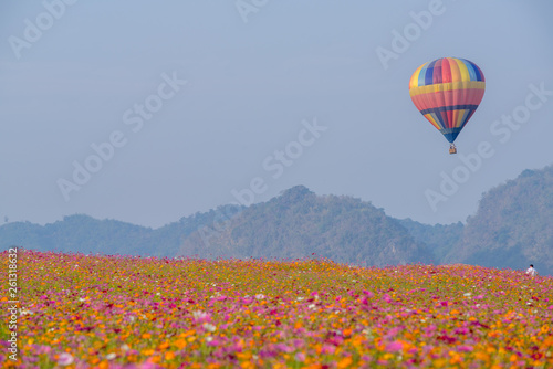 Hot air balloon over cosmos flowers with blue sky