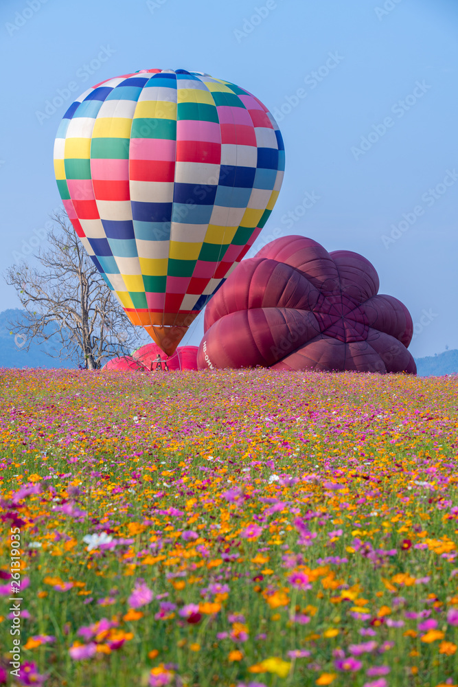 Fototapeta premium Hot air balloon over cosmos flowers with blue sky