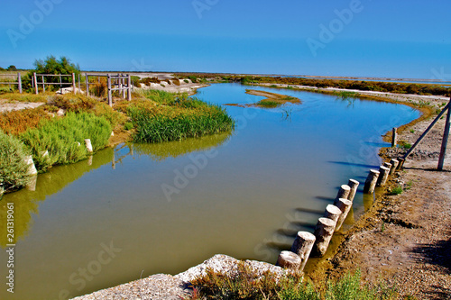 MARAIS CAMARGUE photo