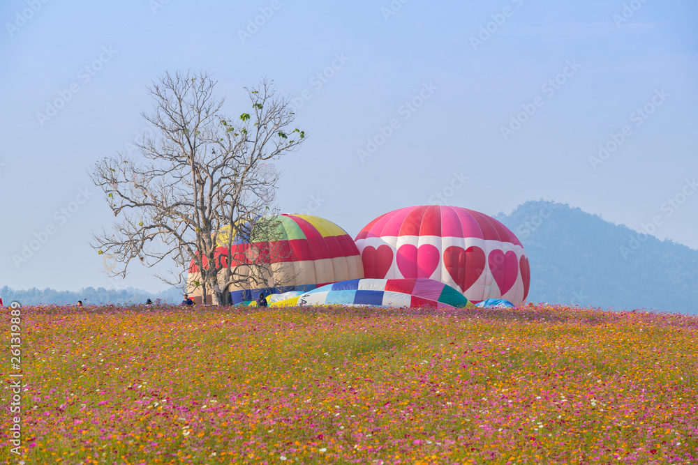 Obraz premium Hot air balloon over cosmos flowers with blue sky
