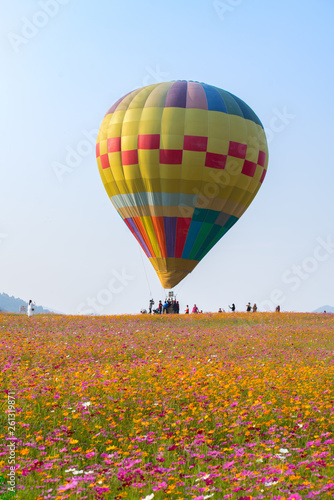 Hot air balloon over cosmos flowers with blue sky