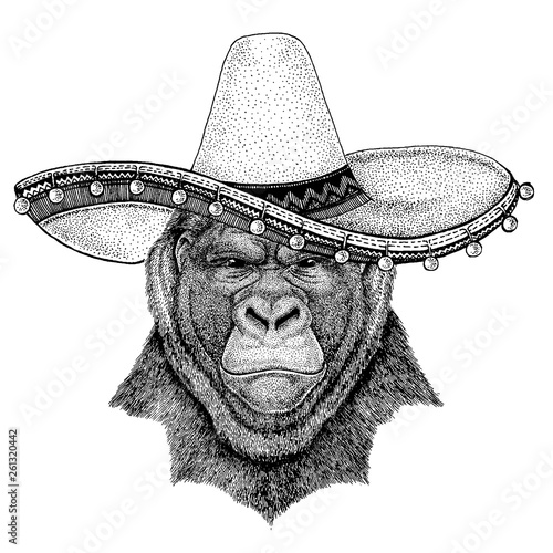 Gorilla, monkey, ape wearing traditional mexican hat Sombrero. Classic headdress, fiesta, party.