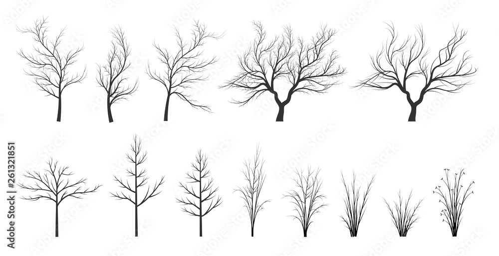 Fototapeta premium set of silhouettes of trees