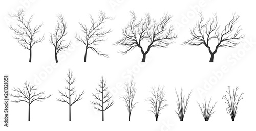 set of silhouettes of trees