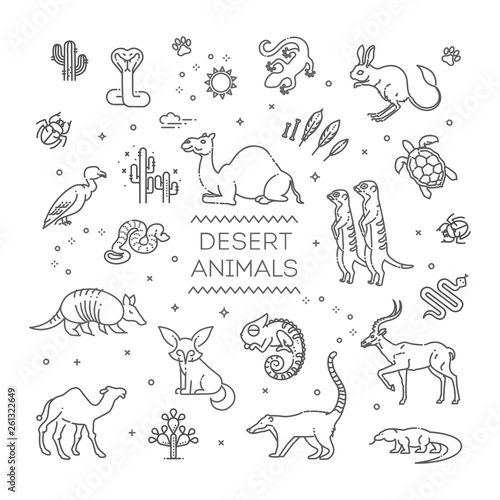 Line wildlife concept with different desert animals . Vector