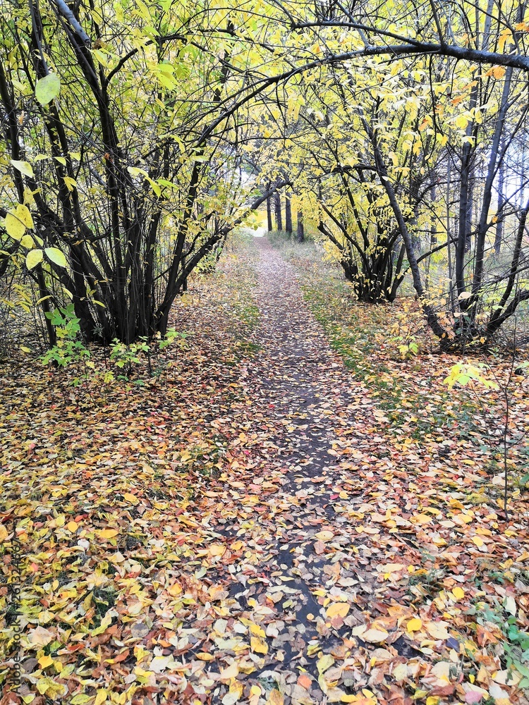 Autumn Park Autumn Park