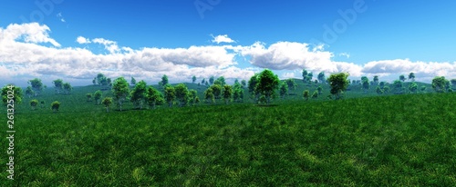 green grass under the sky with clouds, grass hills,