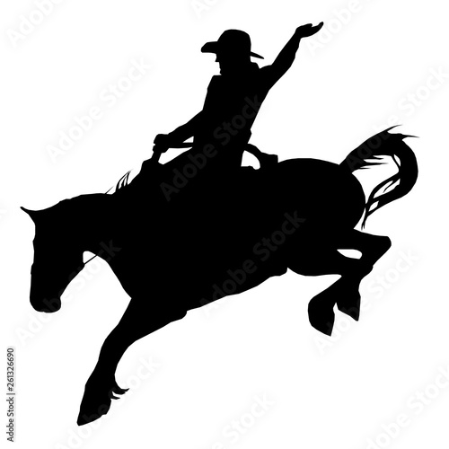 Konstfotografi Rodéo : Bronc Riding