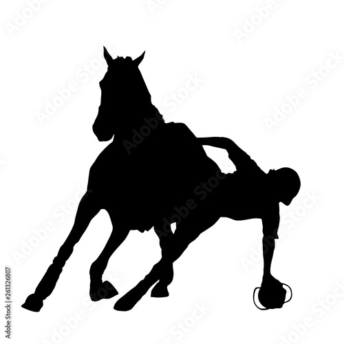 Horse-Ball