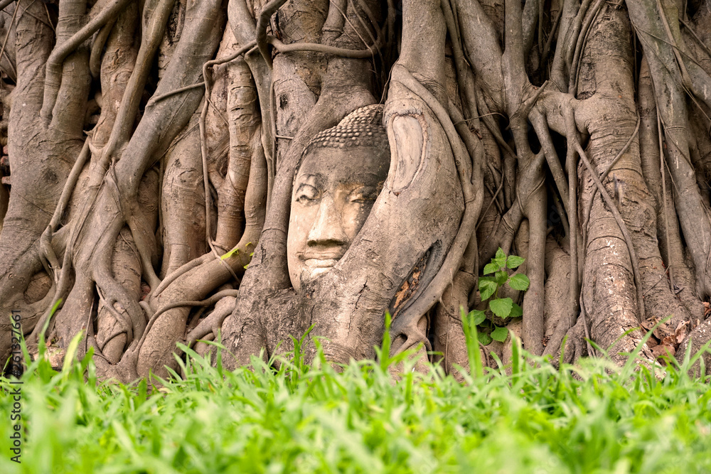 Buddha head in tree roots | Ayutthaya, Thailand