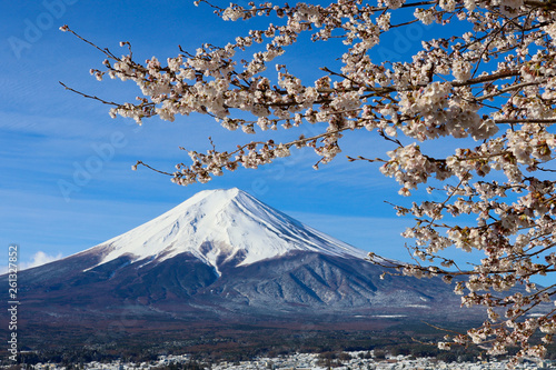 富士山と桜/新倉山浅間公園