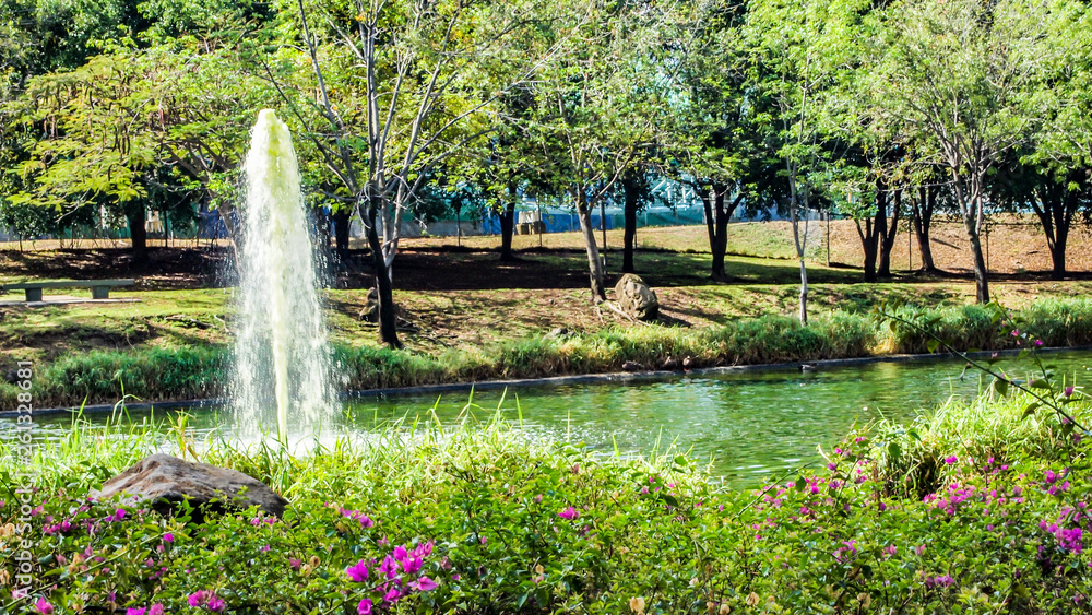 pond with a fountain, trees and colorful vegetation on a beautiful day in Mexico pond with a fountain, trees and colorful vegetation on a beautiful day in Mexico