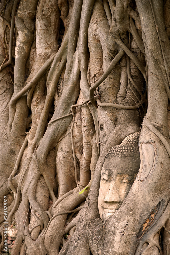Buddha head in tree roots | Ayutthaya, Thailand Buddha head in tree roots | Ayutthaya, Thailand