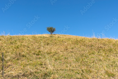 walk on the antola mountain in Italy on a sunny day photo