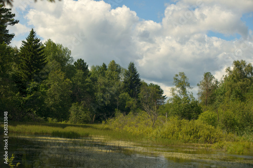 Landscape with forest lake