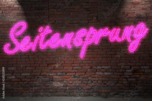 Neon lettering Seitensprung (means infidelity on in german) on Brick Wall at night