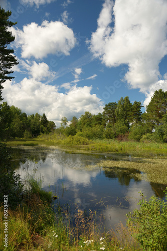 Landscape with forest lake