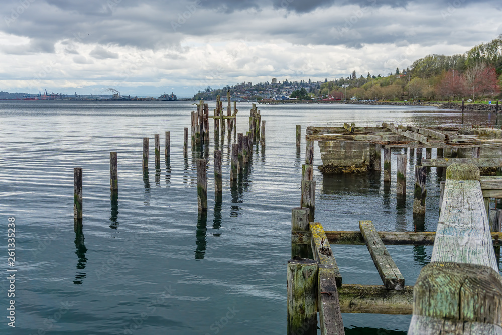 Decaying Pilings Landscape 5