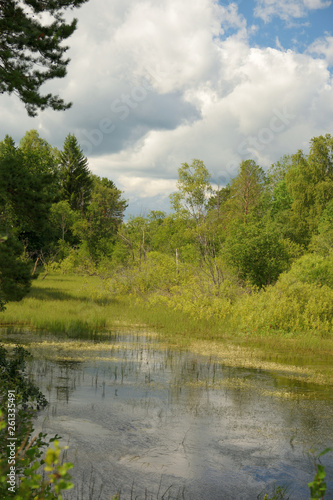 Fototapeta Naklejka Na Ścianę i Meble -  Landscape with forest lake