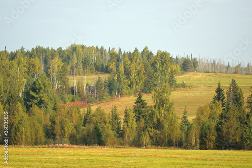 Landscape of meadow road and forest © Константин Занятных