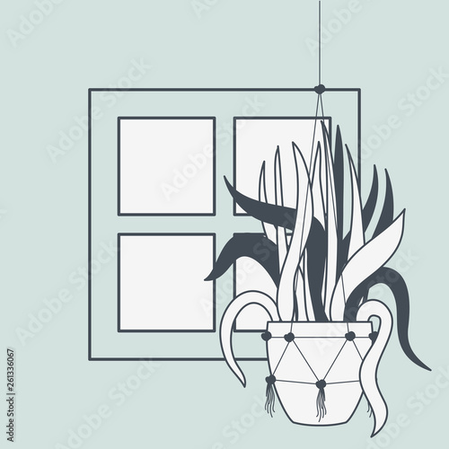 houseplant in macrame hanger with window