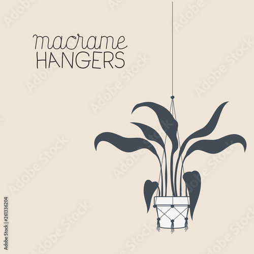 houseplant in macrame hangers