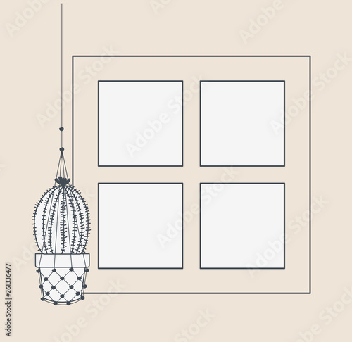 houseplant in macrame hanger with window