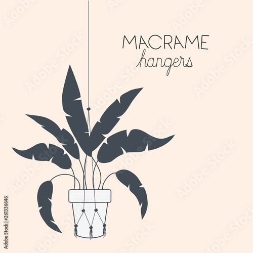 houseplant in macrame hangers